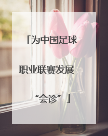 为中国足球职业联赛发展“会诊”