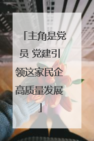 主角是党员 党建引领这家民企高质量发展