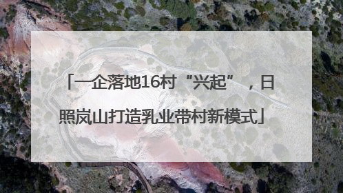一企落地16村“兴起”，日照岚山打造乳业带村新模式