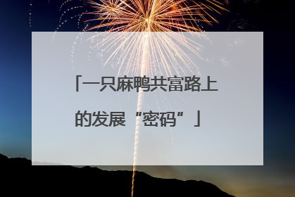 一只麻鸭共富路上的发展“密码”