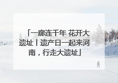 一廊连千年 花开大遗址丨遗产日一起来河南，行走大遗址