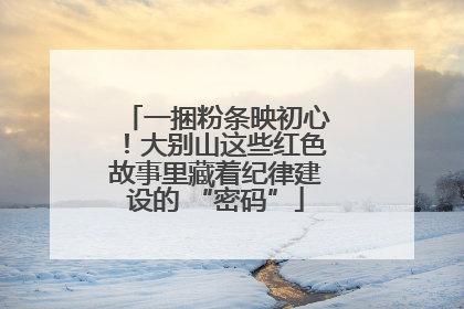 一捆粉条映初心！大别山这些红色故事里藏着纪律建设的 “密码”