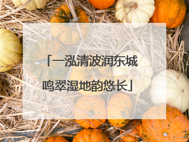 一泓清波润东城 鸣翠湿地韵悠长