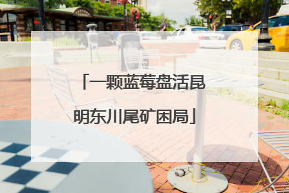 一颗蓝莓盘活昆明东川尾矿困局