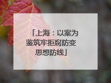 上海：以案为鉴筑牢拒腐防变思想防线