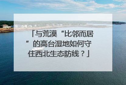 与荒漠“比邻而居”的高台湿地如何守住西北生态防线？