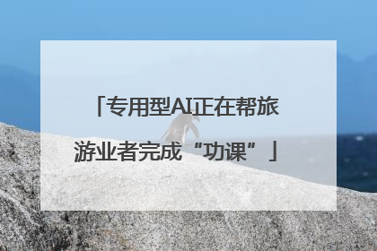 专用型AI正在帮旅游业者完成“功课”