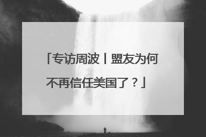 专访周波丨盟友为何不再信任美国了？