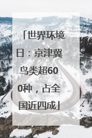 世界环境日：京津冀鸟类超600种，占全国近四成
