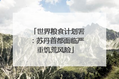 世界粮食计划署：苏丹首都面临严重饥荒风险