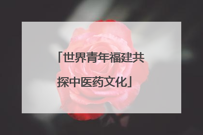 世界青年福建共探中医药文化