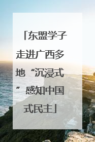 东盟学子走进广西多地“沉浸式”感知中国式民主