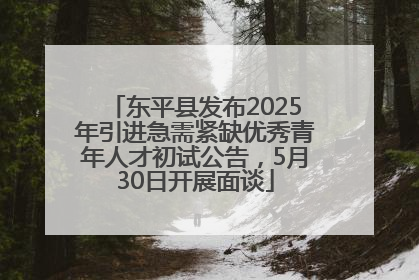 东平县发布2025年引进急需紧缺优秀青年人才初试公告，5月30日开展面谈