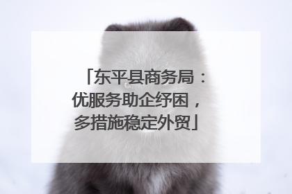 东平县商务局：优服务助企纾困，多措施稳定外贸