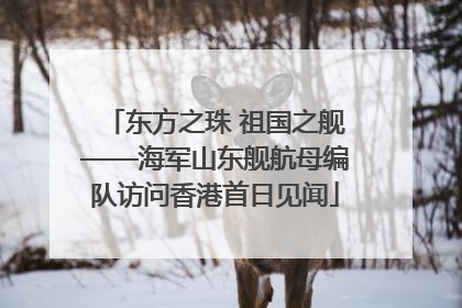 东方之珠 祖国之舰——海军山东舰航母编队访问香港首日见闻