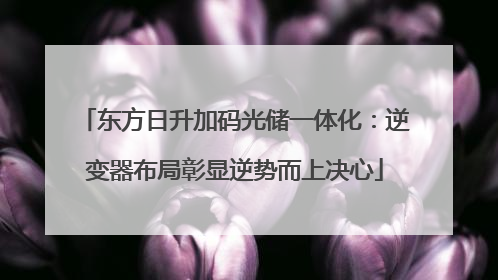 东方日升加码光储一体化：逆变器布局彰显逆势而上决心