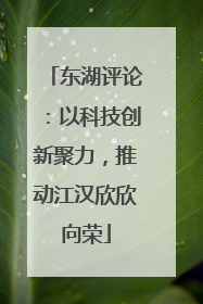 东湖评论：以科技创新聚力，推动江汉欣欣向荣