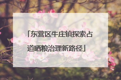 东营区牛庄镇探索占道晒粮治理新路径