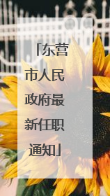 东营市人民政府最新任职通知