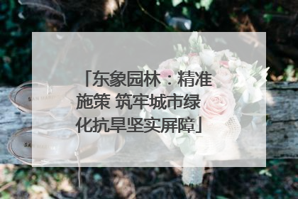 东象园林：精准施策 筑牢城市绿化抗旱坚实屏障