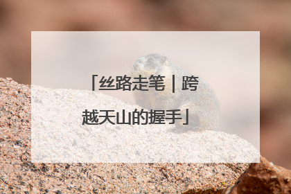 丝路走笔｜跨越天山的握手
