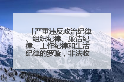 严重违反政治纪律、组织纪律、廉洁纪律、工作纪律和生活纪律的罗璇，非法收受他人巨额财物