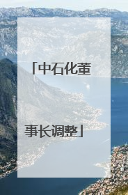 中石化董事长调整
