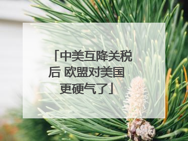 中美互降关税后 欧盟对美国更硬气了