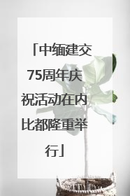 中缅建交75周年庆祝活动在内比都隆重举行