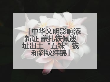中华文明影响添新证 蒙扎铁佩遗址出土“五铢”钱和斜纹纬锦