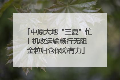 中原大地“三夏”忙丨机收运输畅行无阻 金粒归仓保障有力