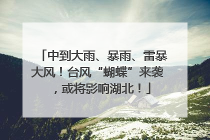 中到大雨、暴雨、雷暴大风！台风“蝴蝶”来袭，或将影响湖北！
