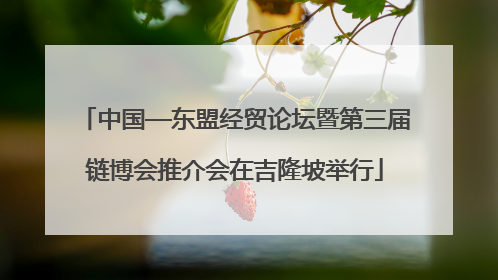 中国—东盟经贸论坛暨第三届链博会推介会在吉隆坡举行