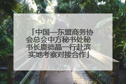中国—东盟商务协会总会中方秘书处秘书长鹿德晶一行赴滨实地考察对接合作