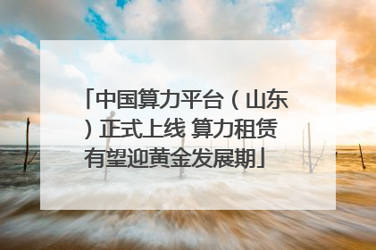 中国算力平台（山东）正式上线 算力租赁有望迎黄金发展期