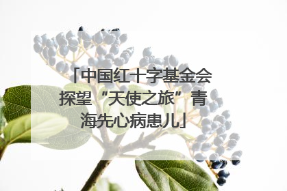中国红十字基金会探望“天使之旅”青海先心病患儿