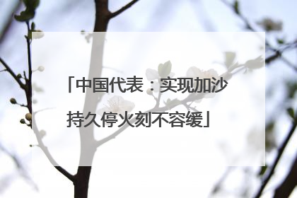 中国代表:实现加沙持久停火刻不容缓