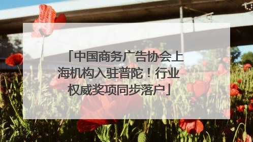 中国商务广告协会上海机构入驻普陀！行业权威奖项同步落户