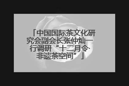 中国国际茶文化研究会副会长张仲灿一行调研“十二月令·非遗茶空间”