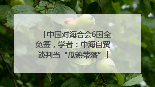 中国对海合会6国全免签，学者：中海自贸谈判当“瓜熟蒂落”