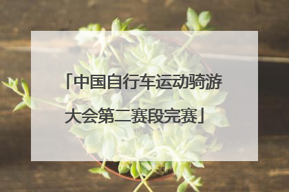 中国自行车运动骑游大会第二赛段完赛