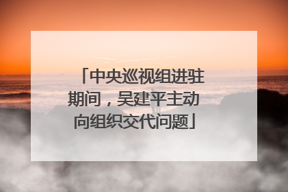 中央巡视组进驻期间，吴建平主动向组织交代问题