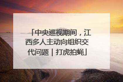 中央巡视期间，江西多人主动向组织交代问题｜打虎拍蝇
