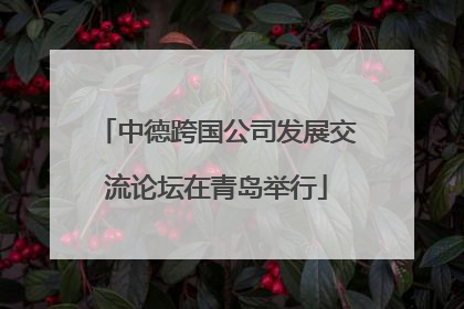 中德跨国公司发展交流论坛在青岛举行