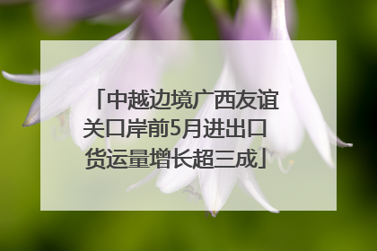 中越边境广西友谊关口岸前5月进出口货运量增长超三成