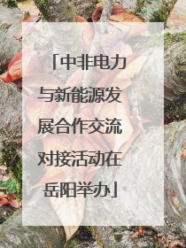 中非电力与新能源发展合作交流对接活动在岳阳举办