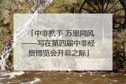 中非携手 万里同风——写在第四届中非经贸博览会开幕之际