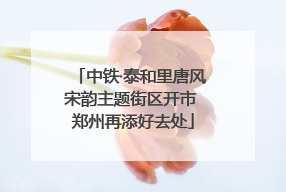 中铁·泰和里唐风宋韵主题街区开市 郑州再添好去处