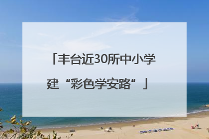 丰台近30所中小学建“彩色学安路”