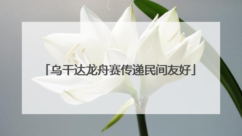 乌干达龙舟赛传递民间友好